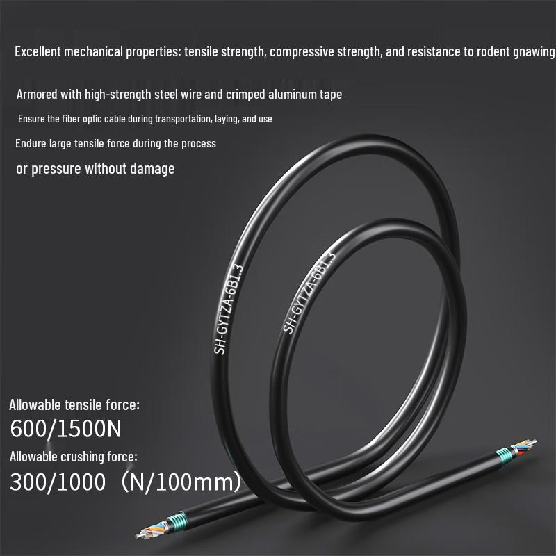 GYTZA53 Outdoor 6-Core Single-Mode Armored LSZH Fiber Optic Cable - 10m