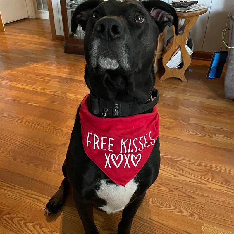 Free Kisses XOXO Pet Dog Boy Girl Red Bandana Scarf Happy Valentine's Day Decoration Dog Lover Mom Dad Gift Present Photo Props