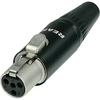 REANNEUTRIK 4Pin Mini XLR Female Plug (RT4FC-B) [Product]