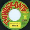 7inch Record HASE-T - What Do You Want TGH0002 Thunder Gate Re 2001 Japan Reggae, Ska & Dub Used