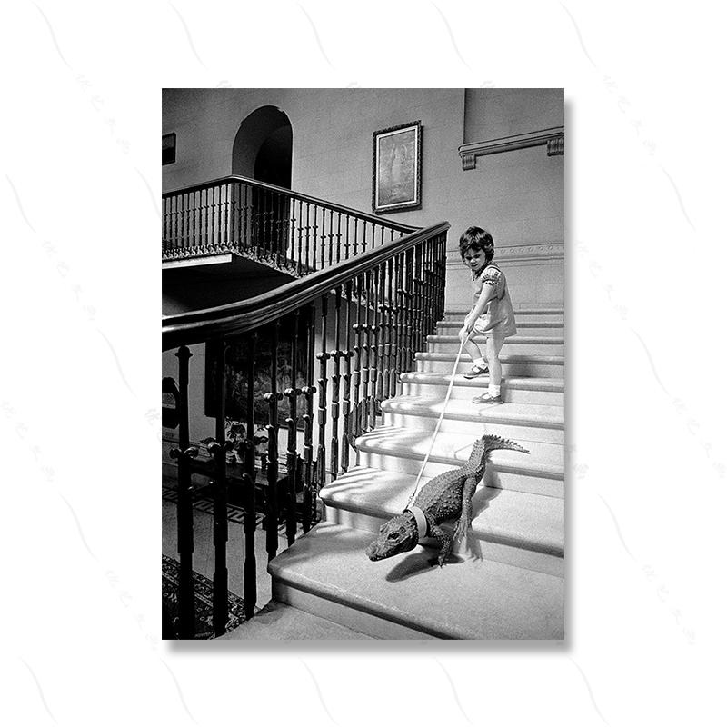 Черный, белый цвет, модная фотография в стиле ретро, современный фильм, постер с принтом, винтажная забавная обложка с изображением животных, холст, картина для комнаты, домашний деко