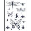 2 transferts thermocollants noir &amp; blanc - Insectes