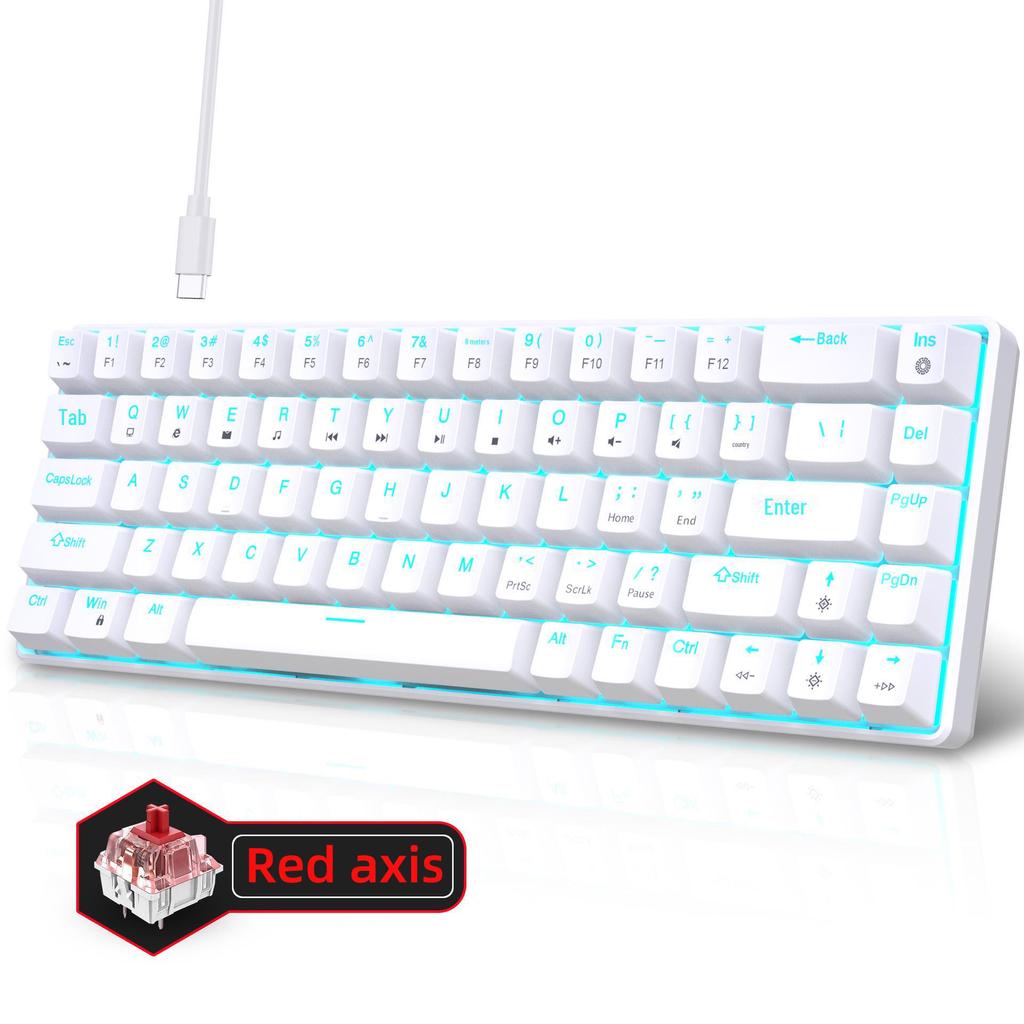 68-Key Wired Mechanical Gaming Keyboard with Hot-Swappable Blue Switches, Two-Color Keycaps, and Ice Blue Lighting
