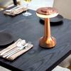 Портативная светодиодная настольная лампа с зарядкой от USB, 3 уровня, яркость, 1800 мАч, аккумулятор, декоративная ночь