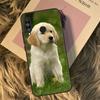 Чехол для Huawei Nova 9 10 SE 3i 7i 8i 11i 12i Y60 Y61 Y70 Y72 Y73 Y90 Y91 P20 P30 P40 Lite с изображением золотистого ретривера