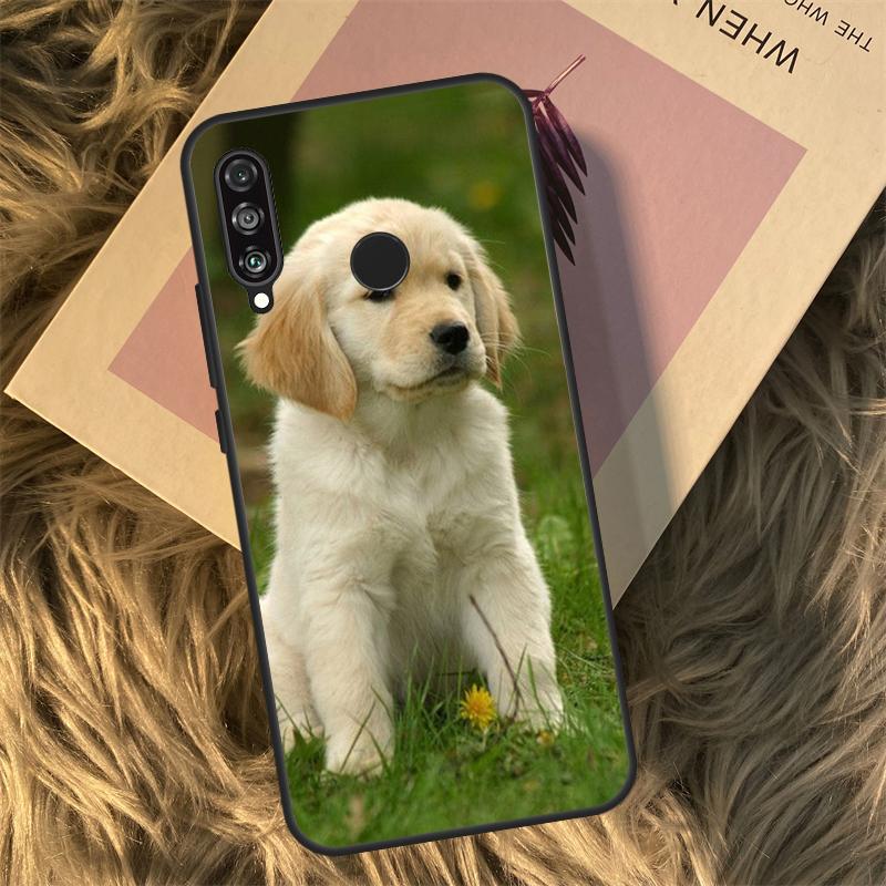 Чехол для Huawei Nova 9 10 SE 3i 7i 8i 11i 12i Y60 Y61 Y70 Y72 Y73 Y90 Y91 P20 P30 P40 Lite с изображением золотистого ретривера