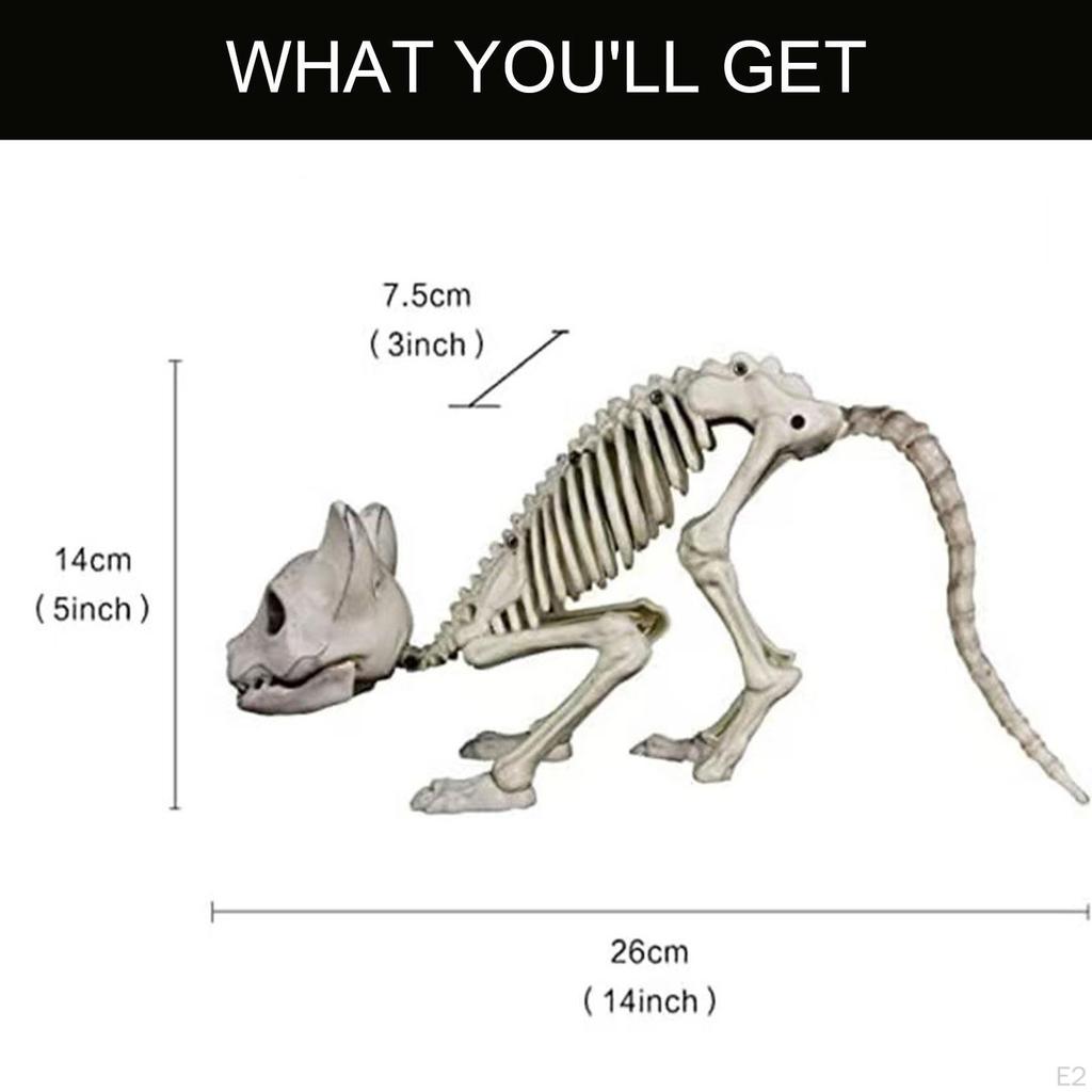 Скелет Кошки Животное Хэллоуин Украшение Реалистичные Кости Страшный Реквизит для Вечеринки для