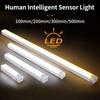 LED Long Strip Body Sensor Night Light Desk Reading Light Cabinet Bedside Bathroom Cool/Warm Light Rechargeable Magnetic Light