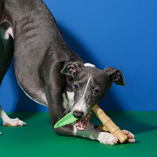 Игрушка для жевания собак в форме бамбука, молярная палочка для агрессивного жевания, неразрушимая