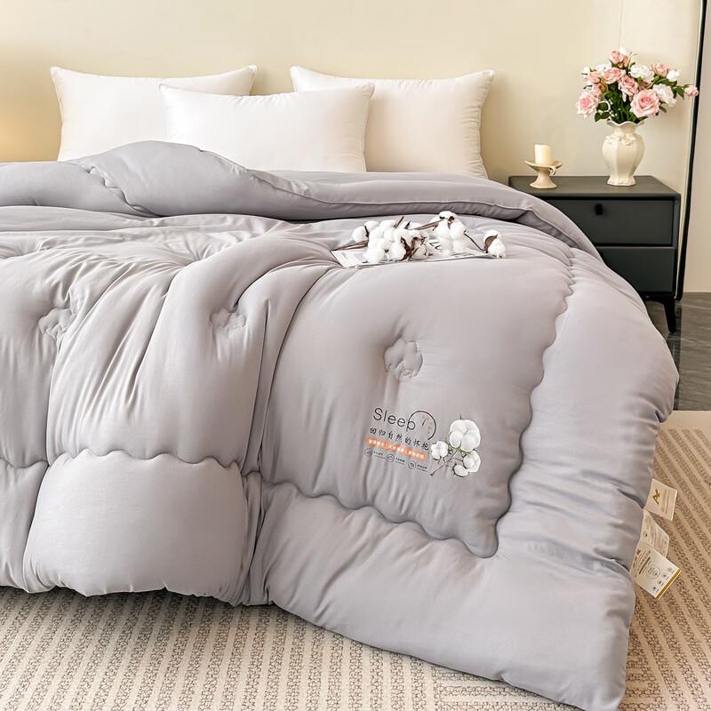 Pugu Class A Xinjiang Cotton Duvet Insert
