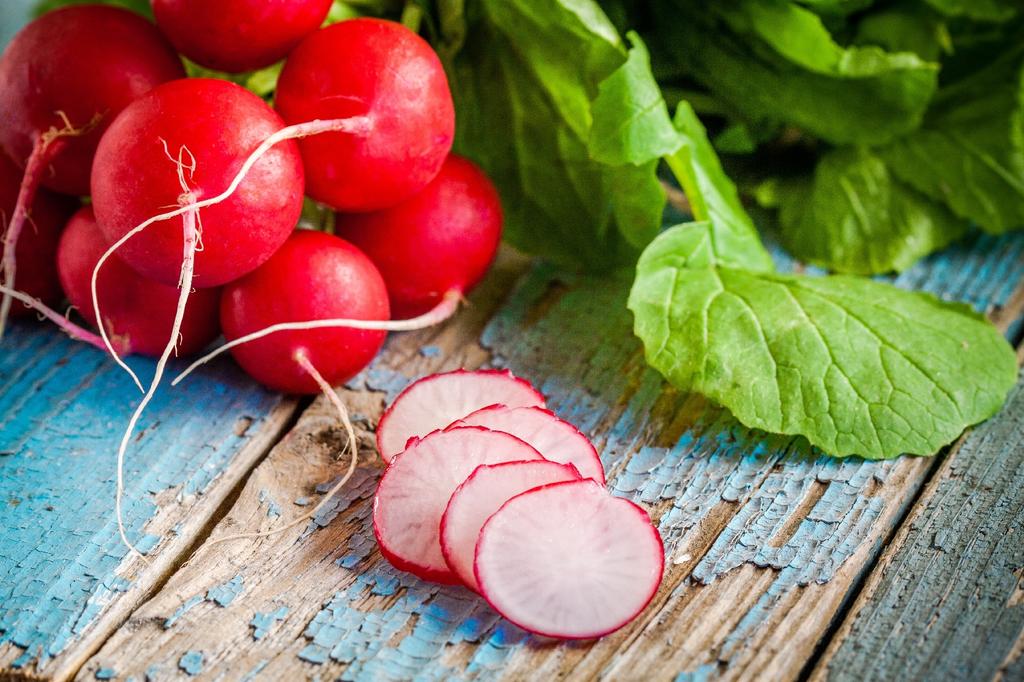 SAFLAX Garden in the Bag - Органический - Редис - Cherry Bell - 100 семян - С субстратом в подходящем стоячем пакете - Raphanus sativus