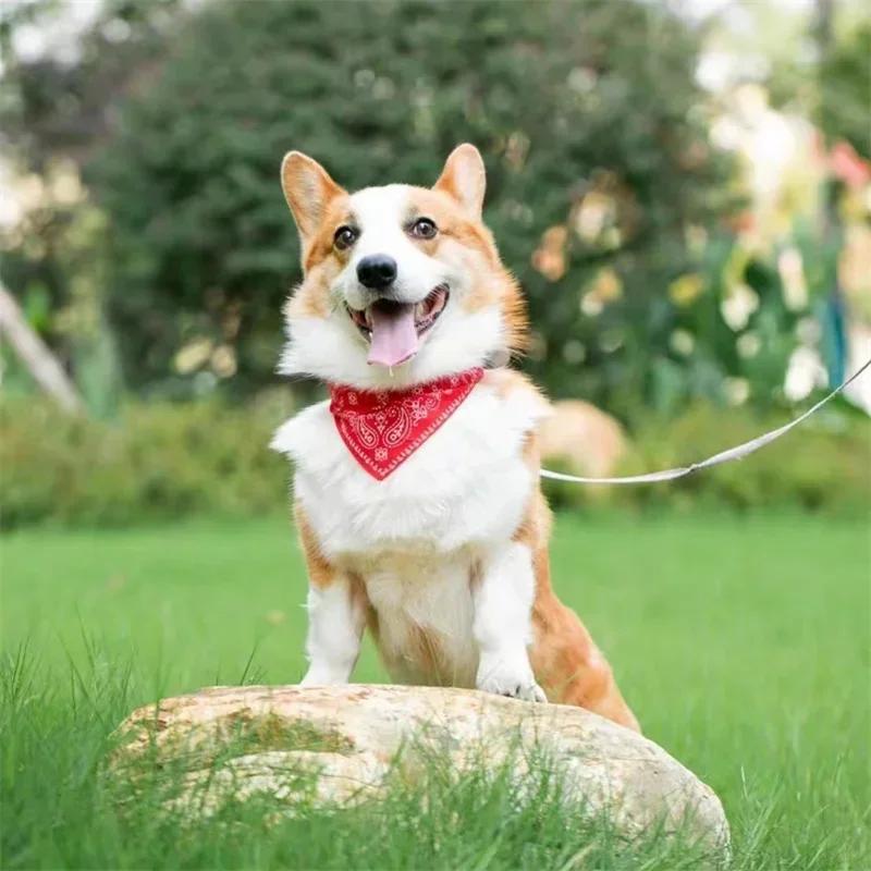 Регулируемый шарф для домашних животных, щенков, кошек, ошейник-бандана, шарф для маленьких собак, полотенце для слюны котенка, ошейник из ПУ с треугольной повязкой