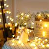 LED String Light Copper Wire Outdoor Led Garland Lamp Christmas Fairy Light For Christmas Tree Wedding Party Home Decoration