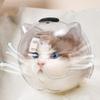 Прозрачный дышащий намордник для кошки, защита от укусов и вылизывания, шлем-космонавт для кошки, аксессуары для ухода за кошкой, защитная маска для головы кошки от царапин