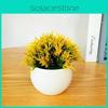 Small Synthetic Plant Pot With Various Colors For Office Desk Decoration And Gift