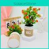 Floral Camellia Sasanqua Pot Potted Plant For Wedding Table And Space Green