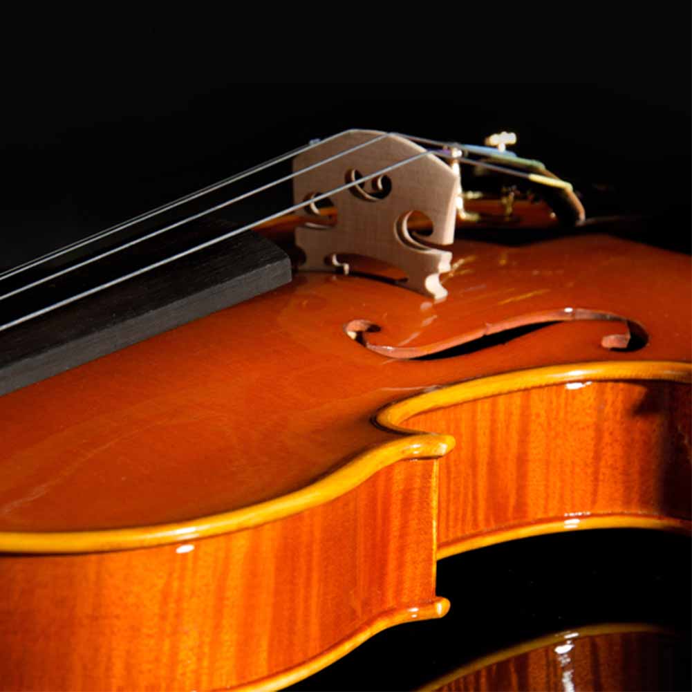 5 Pcs Premium Maple Wooden Violin Bridge Violin Accessory Part for Instrument Learner(1 8)