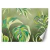 Wallpaper Monstera Leaves