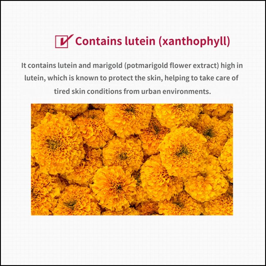 MISSHA Time Revolution The First All Day Cream 50 мл Легкий ежедневный увлажняющий крем для сияющей кожи