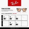 Солнцезащитные очки RB4258F Азиатская посадка Ray-Ban
