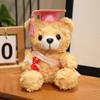 Drteddy Graduation Gift Bear Plush Toy Stuffed Animal Doll Decoration Kids