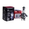 Einparts Żarówka Halogenowa H4 12V 3000K Żółty 55W P43T, 1 Szt