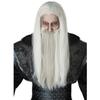 California Costumes Набор парика и бороды для мужчин-волшебников 70900