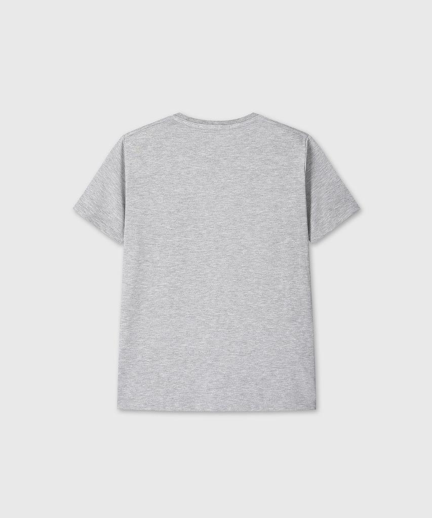 Футболки Daibeuin Regular Fit (Меланж серый)
