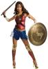 Batman Vs Superman Wonder Woman Costume Collector's Women's 155cm-165cm
