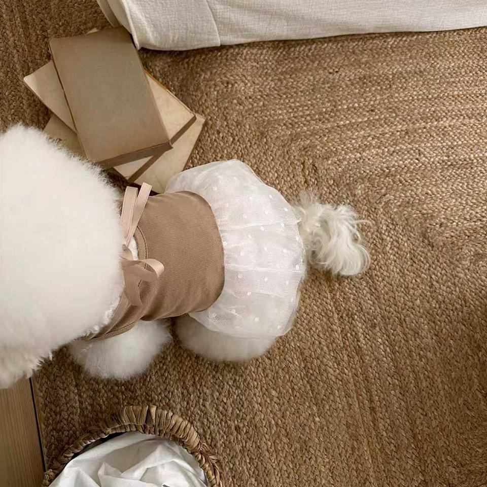 Dot Print Puppy Dress Summer Bow Dog Clothes Bichon Mesh Skirt Teddy Breathable Pullover Gift for Female Dogs XS-XL
