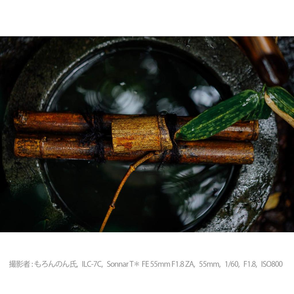 Sony Стандартный однофокусный объектив Sonnar FE 55 мм ZA, полноразмерный объектив Zeiss для цифровой однообъективной камеры, оригинальный объектив SEL55F18Z T F1.8 [крепление E]