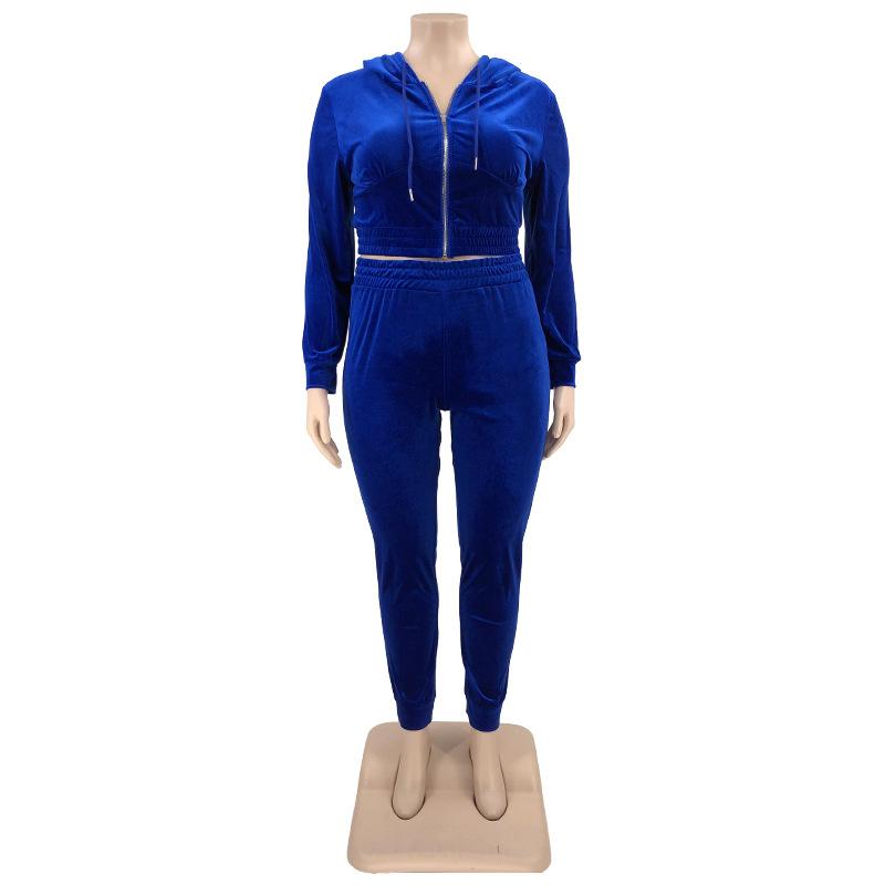 Весенне-осенний эластичный бархатный тонкий большой женский костюм из двух частей