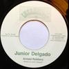 7inch Record JUNIOR DELGADO - Armed Robbery IM030 Incredible Musi 1977 UK Reggae, Ska & Dub