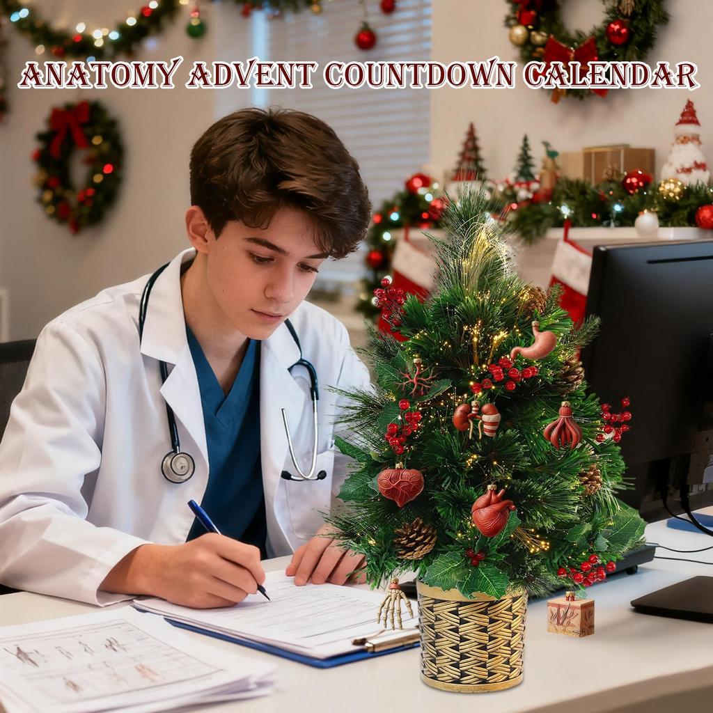 Anatomy Advent Calendar Christmas 24-Day 2d Acrylic Pendant Funny Human Anatomy Miniatures for Doctors Nurses Teachers Students