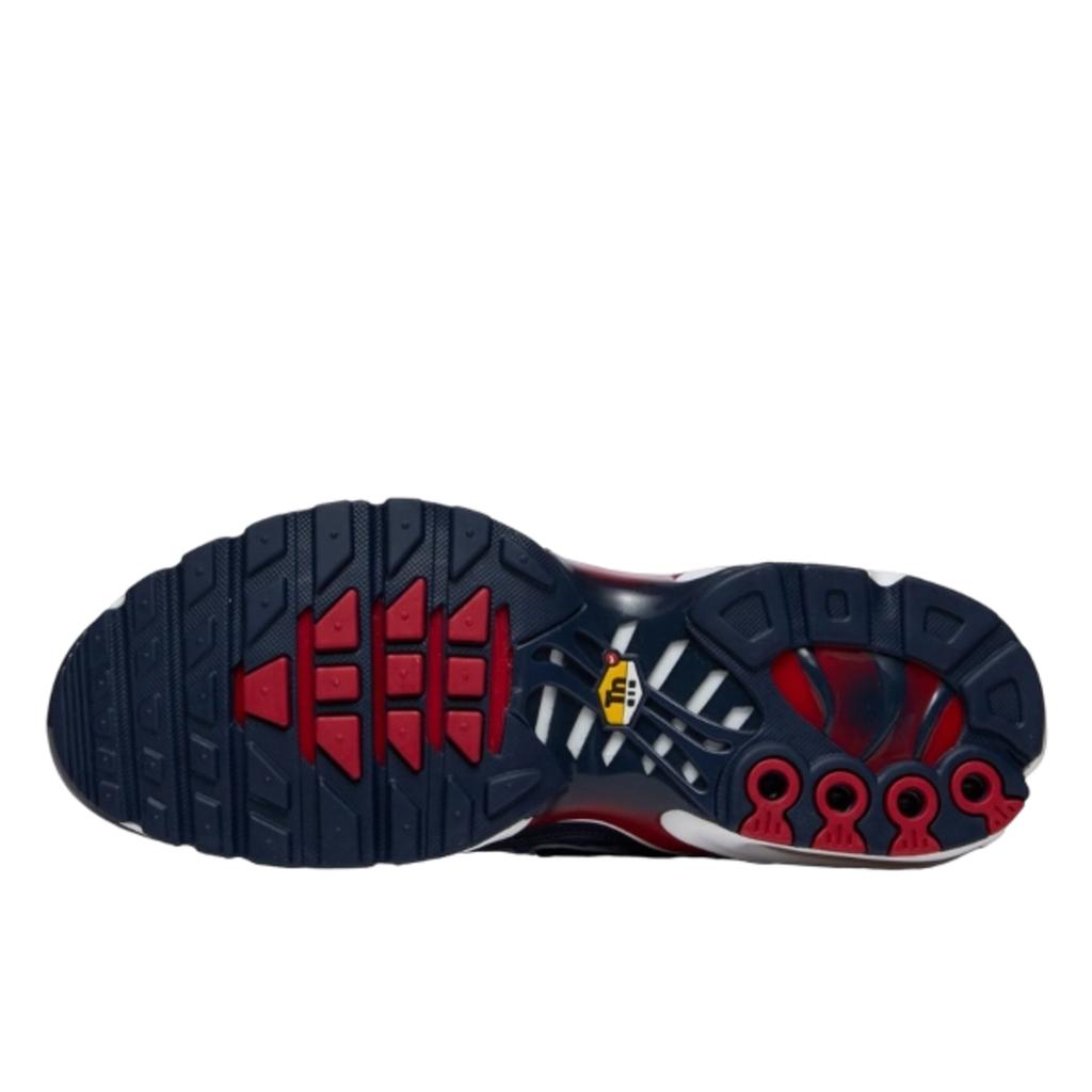 Nike Air Max Plus Молния Эclair (2025)