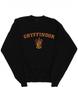 Mens Gryffindor Crest Sweatshirt