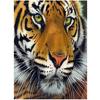 Животное 5D Diy Алмазная картина Наборы для вышивки крестом Наклейка на стену Алмазная мозаика Вышивка