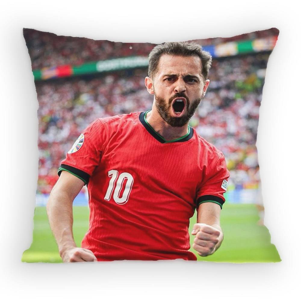BBernardo SSilva MidCourt Pillow Case Antidustmite Pillowcase Invisible zipper silky short plush Sofa cushion cover