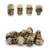 20pcs Decoration Props Mini Skulls Flowerpot Decor Skull Rocks Small Skeleton Head  Halloween