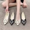 Одиночные туфли женские летние 2025 новые весенние одиночные туфли женские острые мягкие подошвы универсальные нежные туфли для позднего вечера туфли на плоской подошве