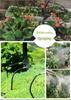 Solar-Powered Automatic Plant Watering System with Drip Irrigation and Sprinkler for Gardens