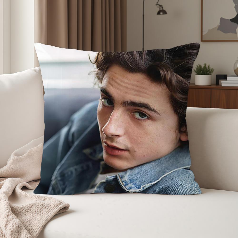 Actor Timothee Chalamet Pillow Case Suitable For Bedrooms Living Rooms Cars Home Decoration