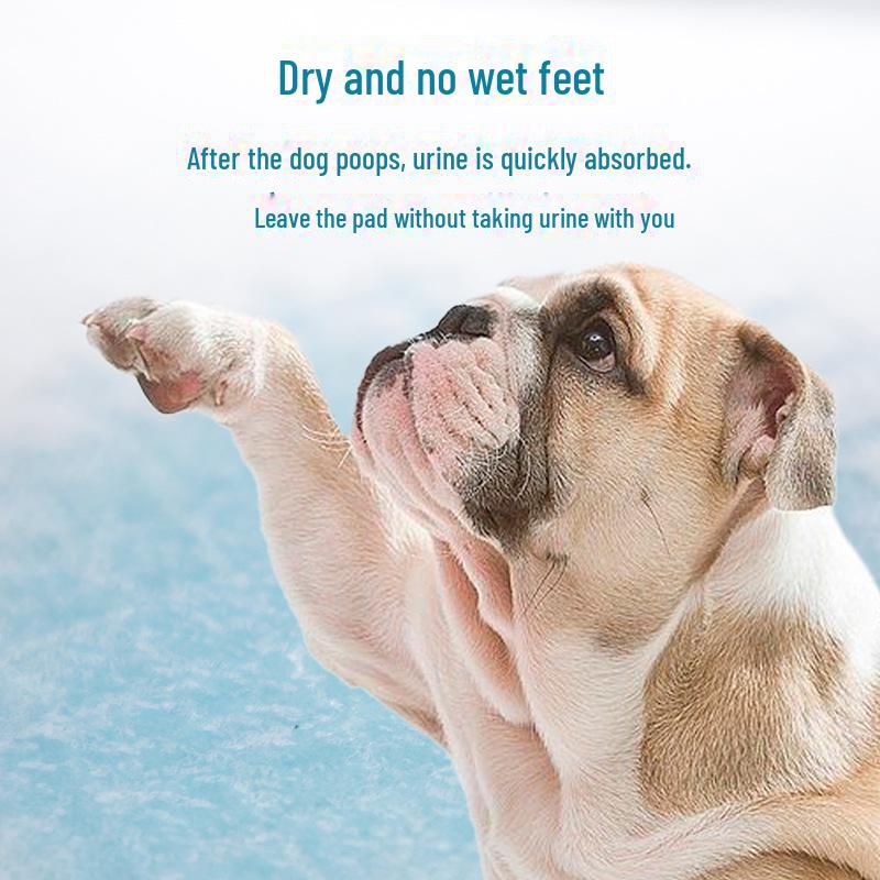 Подгузники для домашних животных и собак, толстые дезодорирующие подгузники для кошек, туалетные принадлежности для дрессировки домашних животных