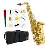 11-Piece Alto Saxophone Set In E Gold Lacquer with Case and Engraving, Beginner's Saxophone Set