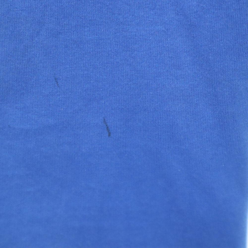 HANES 90s Print Short Sleeve Single Stitch T-shirt L Blue Old Vintage Men's Used