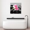 Canvas print, Pink flower on stones