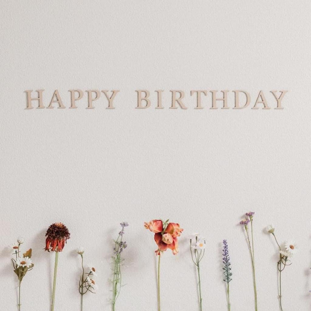 Airie Wooden Letter Banner HAPPY BIRTHDAY (Type-C)