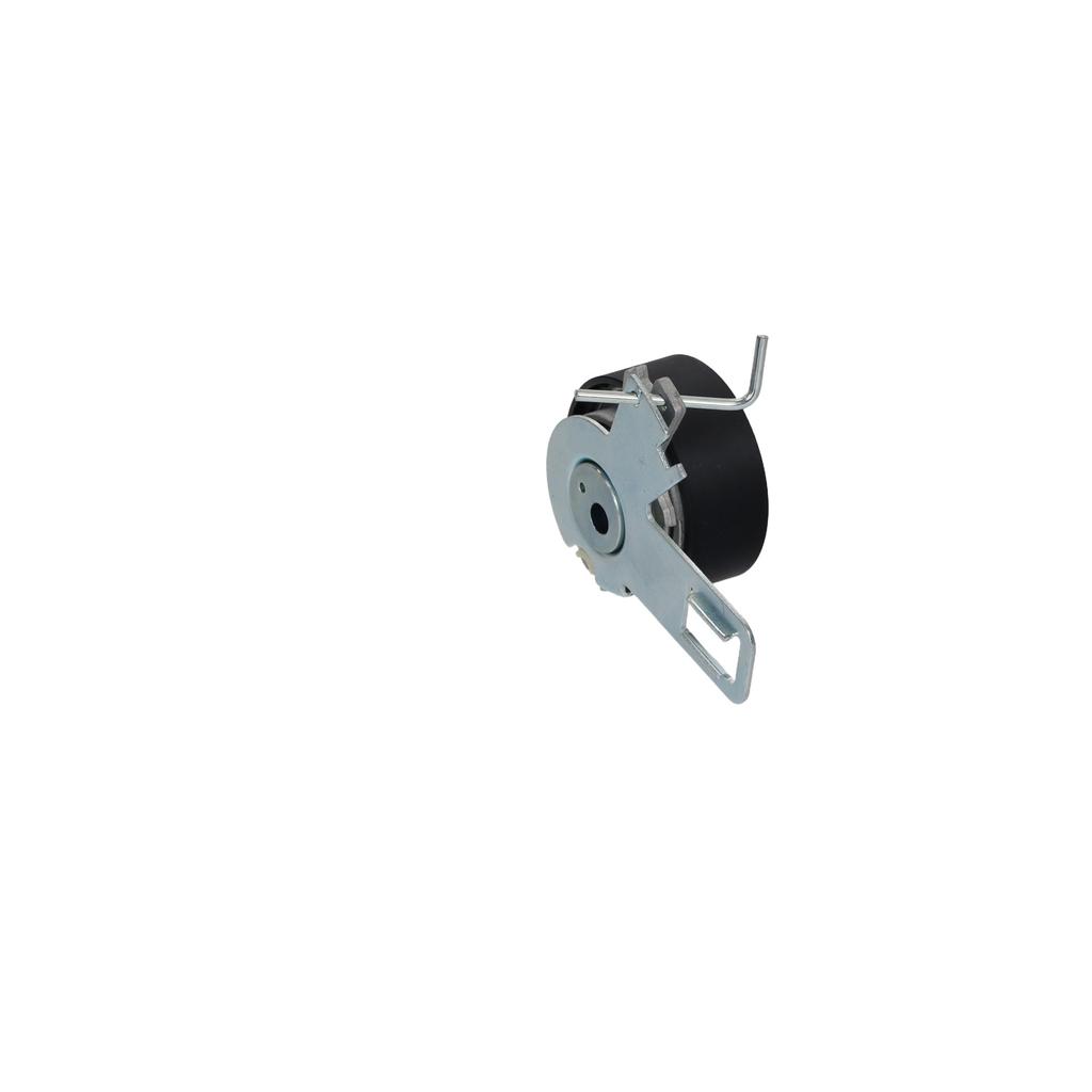Ft10012 Fast Timing Tensioner Roller