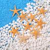 100Pcs/pack New Simulation Natural Starfish Micro Landscape DIY Hanging Photo Frames Candles Beach Handicrafts Home Decoration