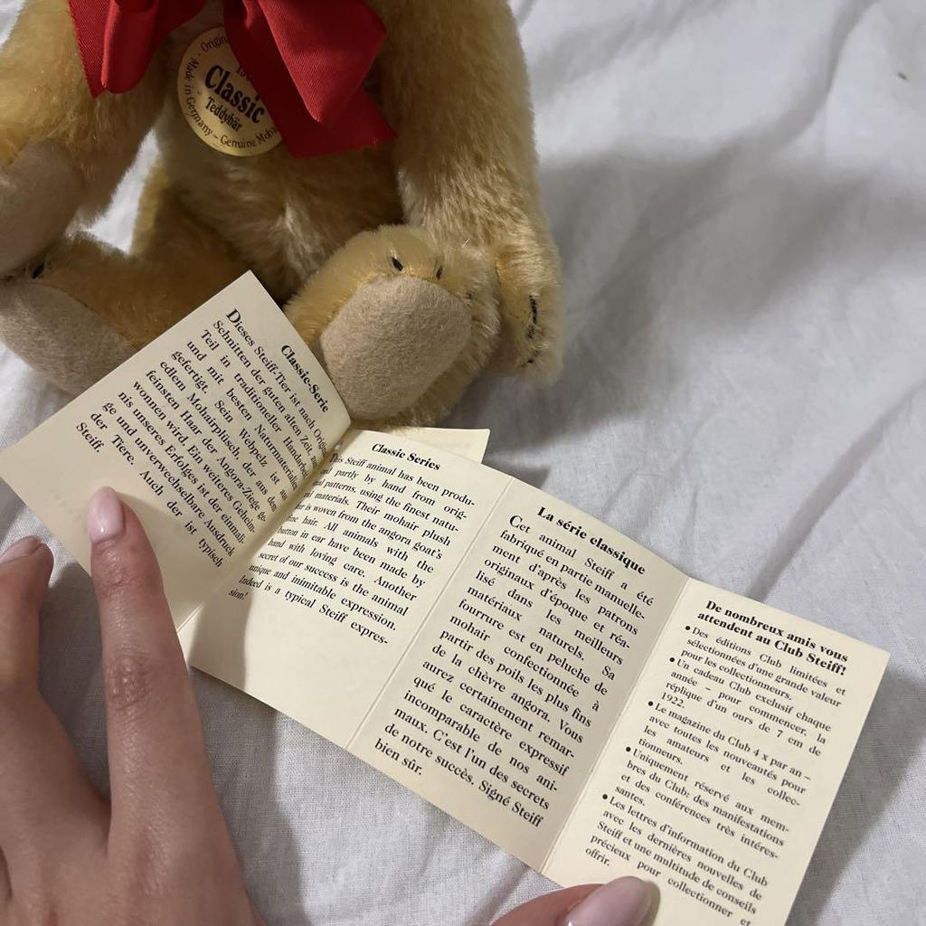[USED] Rare Steiff Teddy Bear 1909